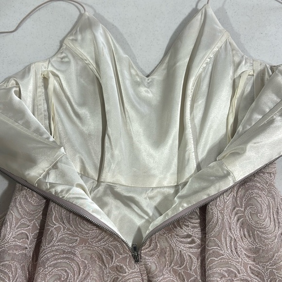 Gianni Bini Lace Dress Light Pink Blush Skater Dress Size 0 EUC - Picture 8 of 14